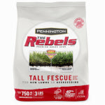 PENNINGTON SEED INC Rebel Fescue Grass Seed, 3-Lbs. LAWN & GARDEN PENNINGTON SEED INC